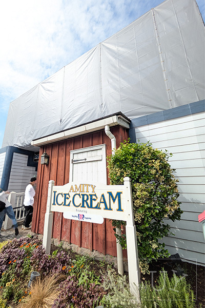 アミティ・アイスクリーム
