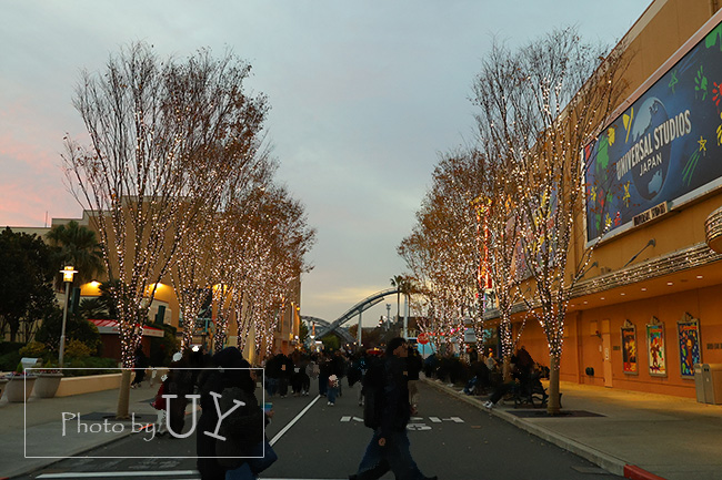 おさるのジョージ前グリーンストリートライトアップ