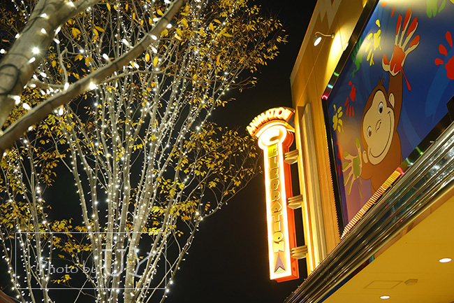 おさるのジョージ前グリーンストリートライトアップ