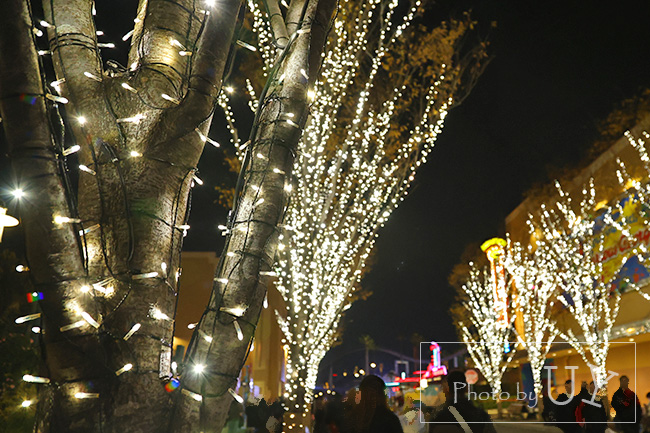 おさるのジョージ前グリーンストリートライトアップ